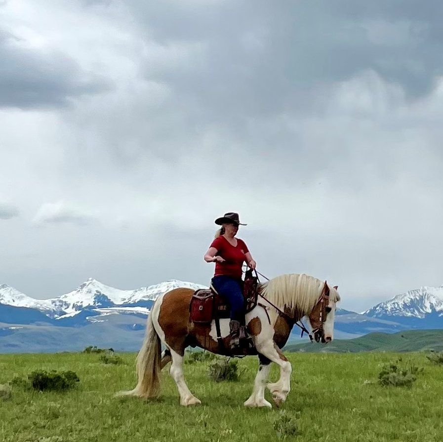 Alice riding horse with mountain backdrop