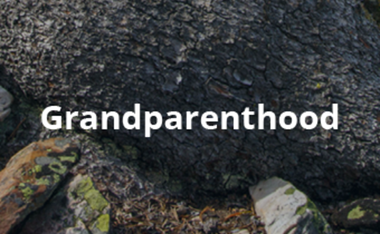 text: grandparenthood
